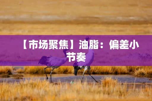 【市场聚焦】油脂：偏差小节奏