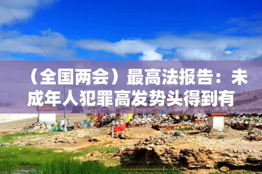 （全国两会）最高法报告：未成年人犯罪高发势头得到有效遏制