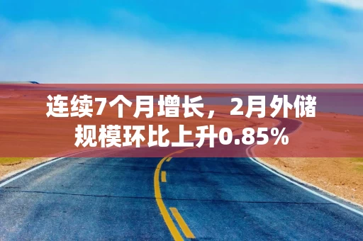 连续7个月增长，2月外储规模环比上升0.85%
