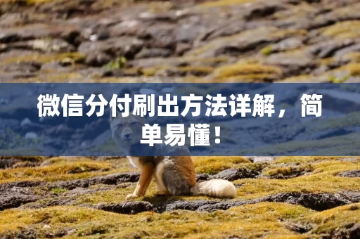 微信分付刷出方法详解，简单易懂！