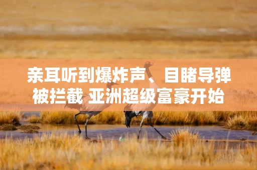 亲耳听到爆炸声、目睹导弹被拦截 亚洲超级富豪开始对迪拜投资三思