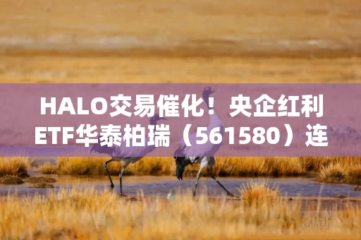 HALO交易催化！央企红利ETF华泰柏瑞（561580）连续三个交易日获资金增持