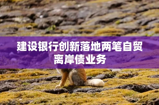 建设银行创新落地两笔自贸离岸债业务