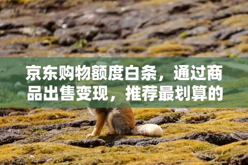 京东购物额度白条，通过商品出售变现，推荐最划算的提现方法