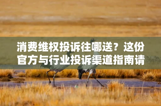 消费维权投诉往哪送？这份官方与行业投诉渠道指南请收好