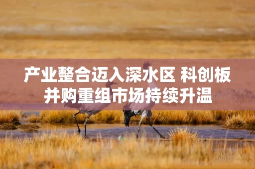 产业整合迈入深水区 科创板并购重组市场持续升温