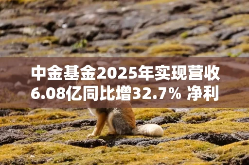 中金基金2025年实现营收6.08亿同比增32.7% 净利润1.34亿同比增22.9%