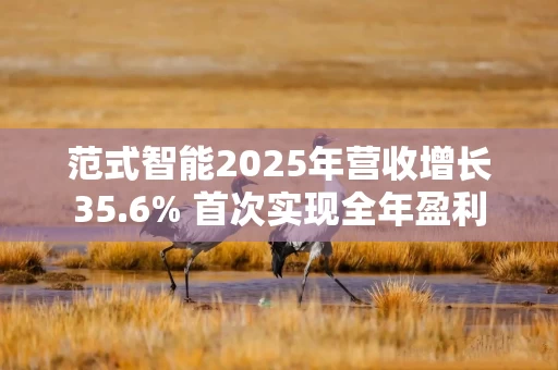 范式智能2025年营收增长35.6% 首次实现全年盈利
