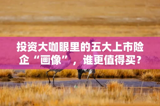 投资大咖眼里的五大上市险企“画像”，谁更值得买？