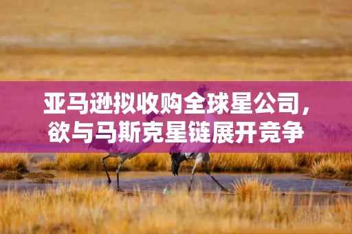 亚马逊拟收购全球星公司，欲与马斯克星链展开竞争