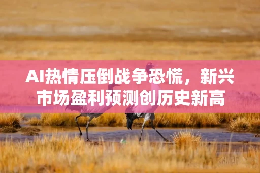 AI热情压倒战争恐慌，新兴市场盈利预测创历史新高