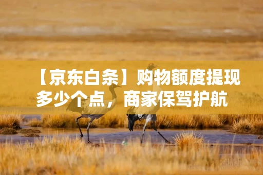 【京东白条】购物额度提现多少个点，商家保驾护航