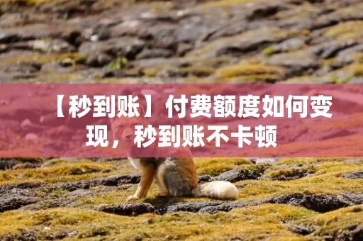 【秒到账】付费额度如何变现，秒到账不卡顿