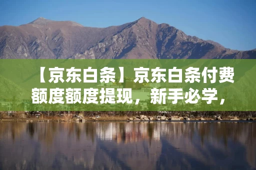 【京东白条】京东白条付费额度额度提现，新手必学，京东白条下载官网
