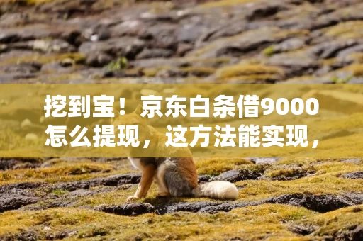 挖到宝！京东白条借9000怎么提现，这方法能实现，京东白条怎么借款10000