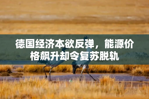 德国经济本欲反弹，能源价格飙升却令复苏脱轨