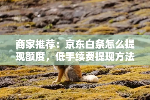 商家推荐：京东白条怎么提现额度，低手续费提现方法，2021京东白条如何提现