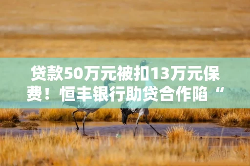 贷款50万元被扣13万元保费！恒丰银行助贷合作陷“捆绑搭售”争议