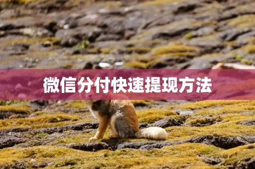微信分付快速提现方法