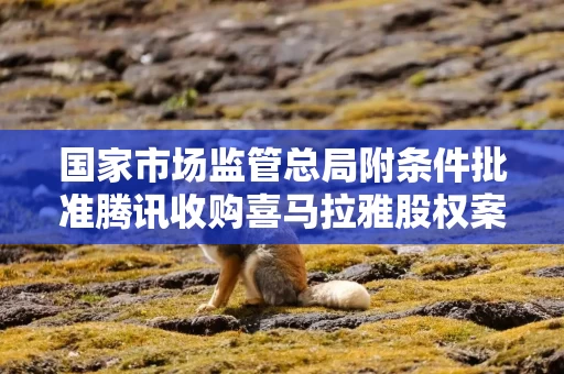 国家市场监管总局附条件批准腾讯收购喜马拉雅股权案