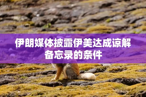 伊朗媒体披露伊美达成谅解备忘录的条件
