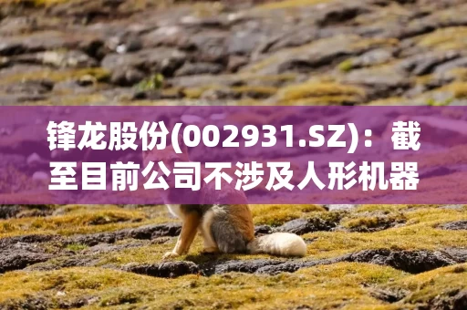 锋龙股份(002931.SZ):截至目前公司不涉及人形机器人业务 2 锋龙股份(002931.SZ):截至目前公司不涉及人形机器人业务 2