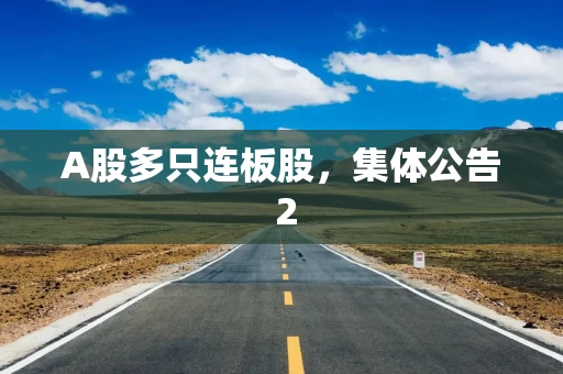 A股多只连板股，集体公告 2