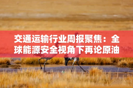 交通运输行业周报聚焦：全球能源安全视角下再论原油运输的供与需 继续强推中远海能与招商轮船