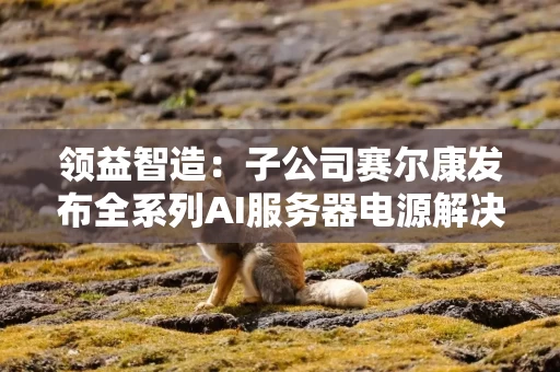 领益智造:子公司赛尔康发布全系列AI服务器电源解决方案 领益智造:子公司赛尔康发布全系列AI服务器电源解决方案