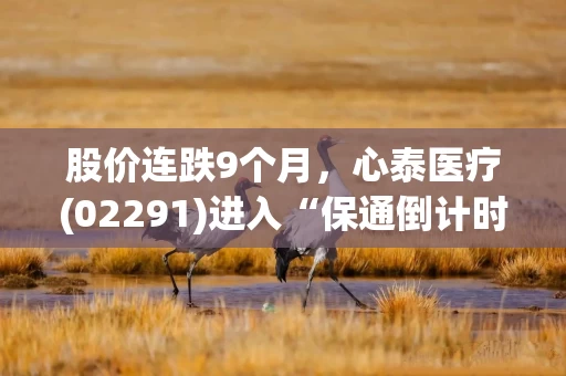 股价连跌9个月，心泰医疗(02291)进入“保通倒计时” 3