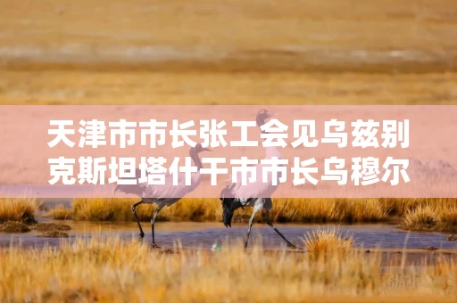 天津市市长张工会见乌兹别克斯坦塔什干市市长乌穆尔扎科夫 2 天津市市长张工会见乌兹别克斯坦塔什干市市长乌穆尔扎科夫 2