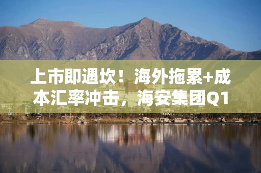 上市即遇坎！海外拖累+成本汇率冲击，海安集团Q1净利跌逾6成