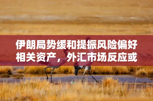 伊朗局势缓和提振风险偏好相关资产，外汇市场反应或相对滞后 3