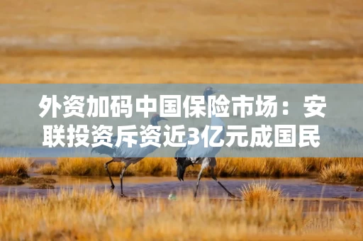 外资加码中国保险市场：安联投资斥资近3亿元成国民养老新股东