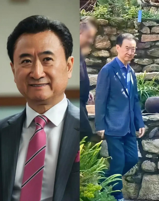 万达王健林控股__万达王健林占多少