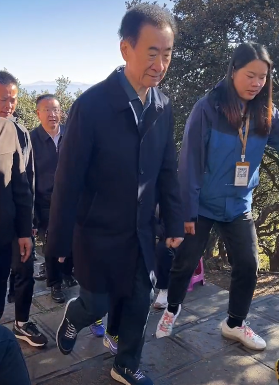 _万达王健林控股_万达王健林占多少