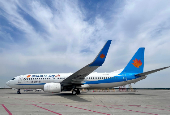 飞行员被迫送外卖？ 揭秘幸福航空“乏力运营”背后的财务黑洞 | BUG