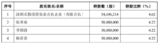 遭遇法拍猎手？ “光伏第一股”亿晶光电实控人缺位，公司回应 | 能见派