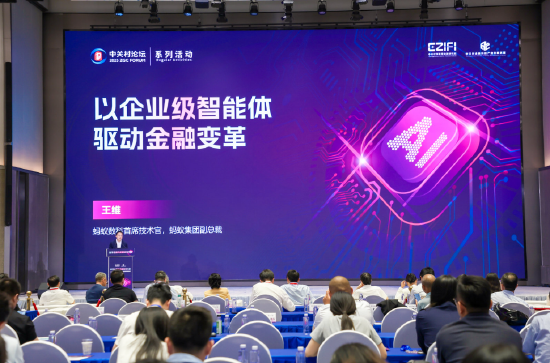 蚂蚁集团王维：大模型会出现幻觉，在风控领域仍需专业知识微调才能补齐短板