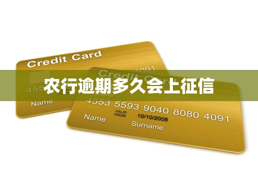 农行逾期多久会上征信