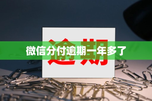 微信分付逾期一年多了 微信分付逾期一年多了