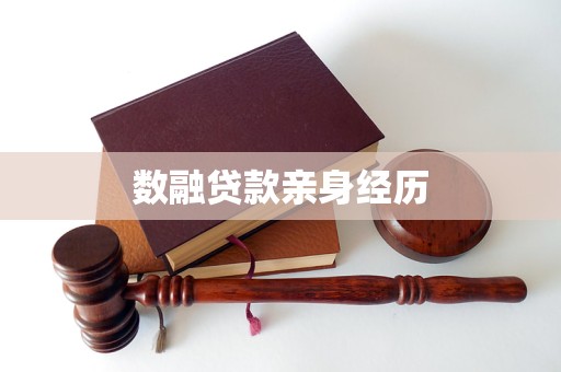 数融贷款亲身经历 数融贷款亲身经历