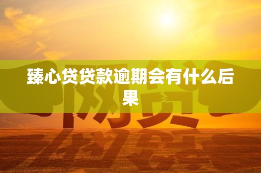 臻心贷贷款逾期会有什么后果 臻心贷贷款逾期会有什么后果