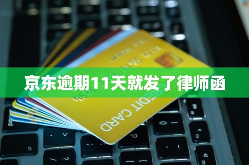 京东逾期11天就发了律师函 京东逾期11天就发了律师函