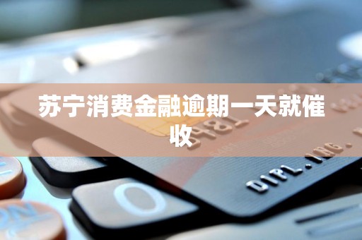 苏宁消费金融逾期一天就催收 苏宁消费金融逾期一天就催收