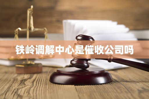 铁岭调解中心是催收公司吗