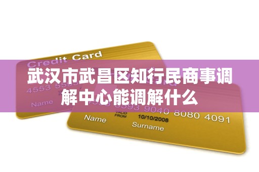 武汉市武昌区知行民商事调解中心能调解什么 武汉市武昌区知行民商事调解中心能调解什么
