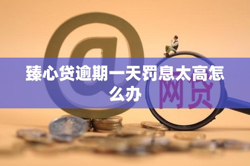 臻心贷逾期一天罚息太高怎么办