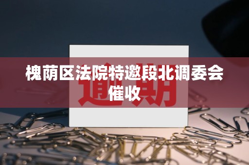 槐荫区法院特邀段北调委会催收