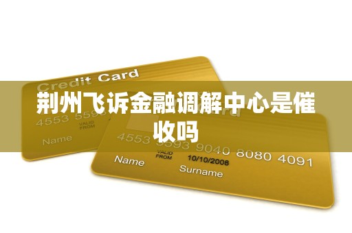 荆州飞诉金融调解中心是催收吗